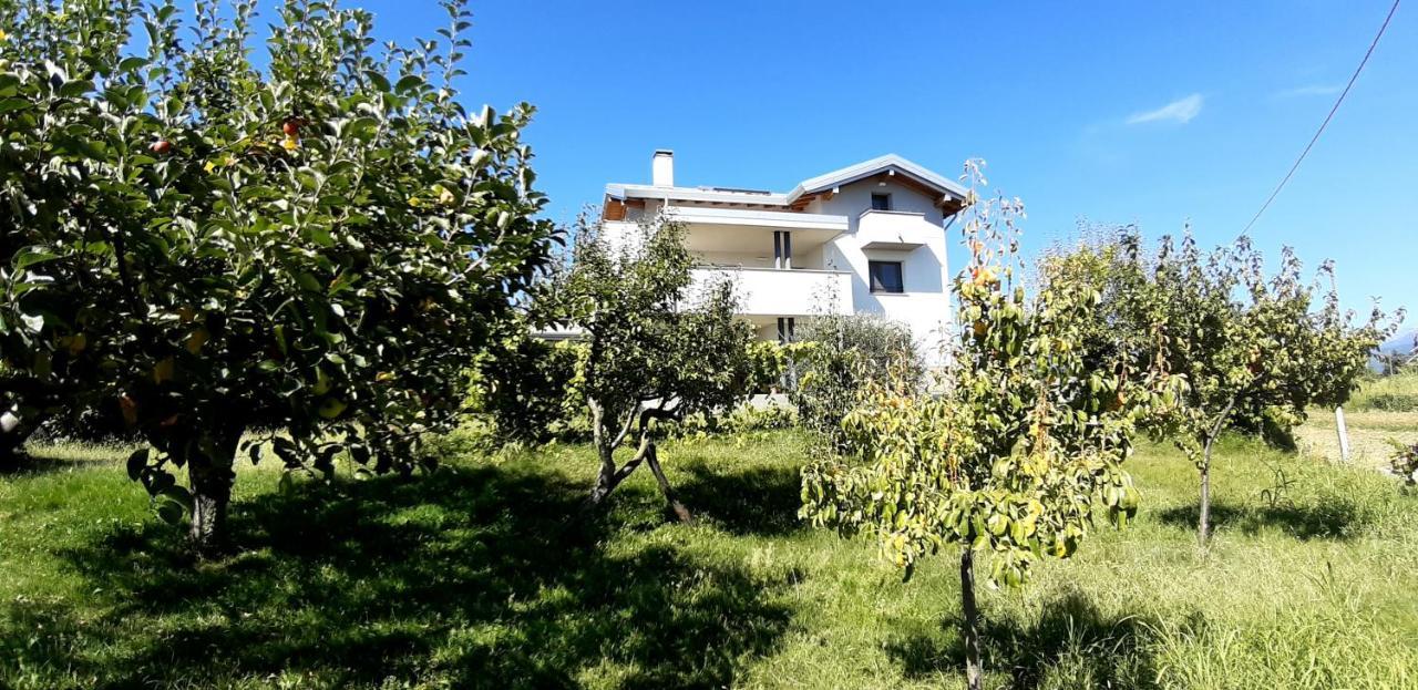 Al Settimo Miglio, Alloggio Agrituristico Villa Treppo Grande Dış mekan fotoğraf